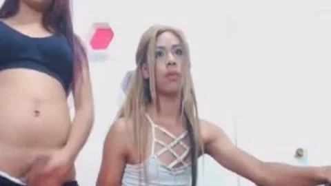 excited ladyboys loves To Jerks On web camera