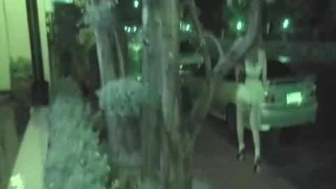 Night city Ladyboy Dream