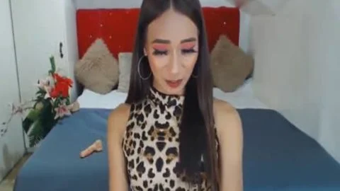 Skinny asian t-girl outstanding Camshowp